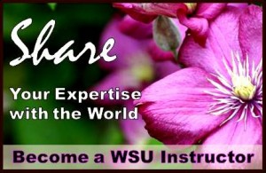 wsu course instructor button