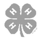 4-H clover emblem with four H's on a four-leaf clover.