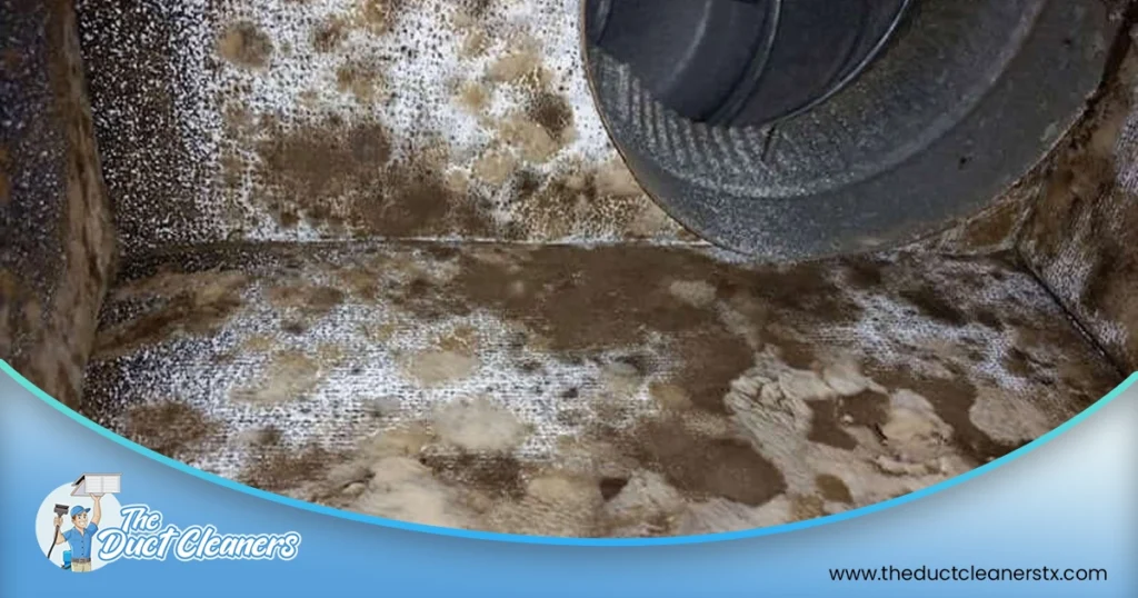 Shows an image of the inside of a dirty HVAC system.