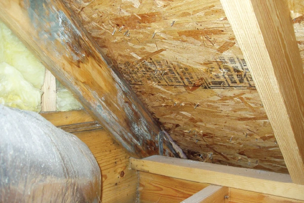 attic insulation removal