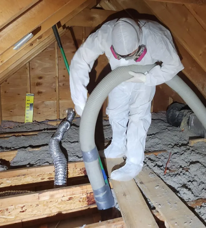attic insulation removal